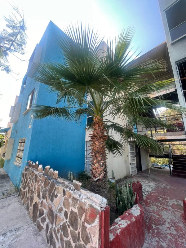 WhatsApp-Image-2024-11-04-at-17.02.14 Tu nuevo departamento en Puerto Vallarta #515, Arvento, Tlajomulco 🏡🔑