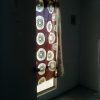 ¡Encuentra vivienda en Fracc. Campo bello, El Salto, Jalisco!