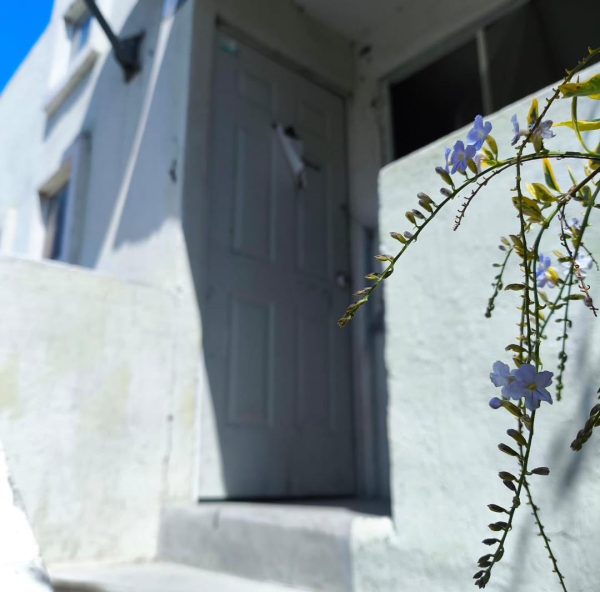 ¡Encuentra Casa Dúplex en Calle Zorro, Fracc Rehilete, Villagran, Guanajuato!🏡🔑