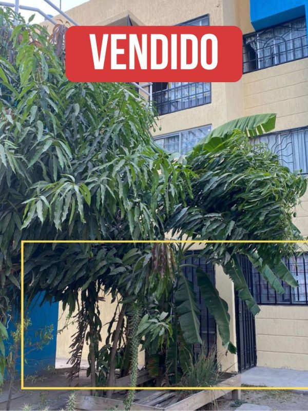 ¡Encuentra vivienda en Lomas del Mirador, Tlajomulco, Jalisco! 🏡🔑